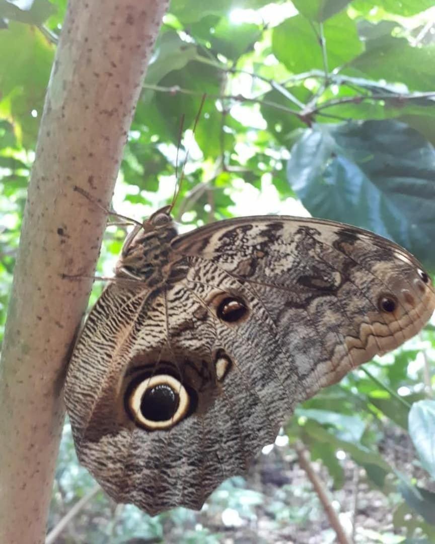 Reserva Do Sahy, Condado Mangaratiba Dış mekan fotoğraf