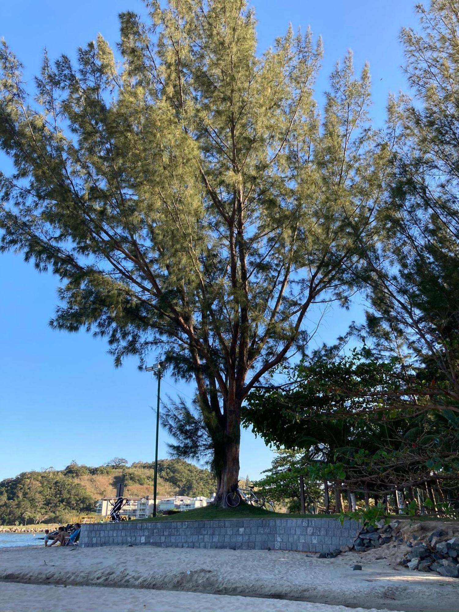 Reserva Do Sahy, Condado Mangaratiba Dış mekan fotoğraf