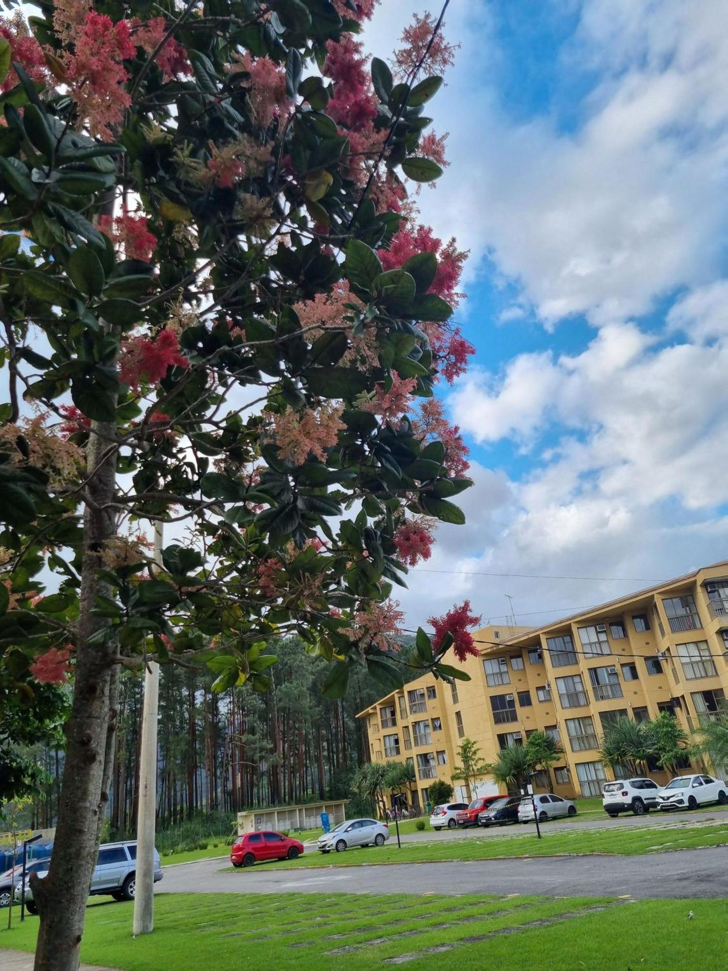 Reserva Do Sahy, Condado Mangaratiba Dış mekan fotoğraf